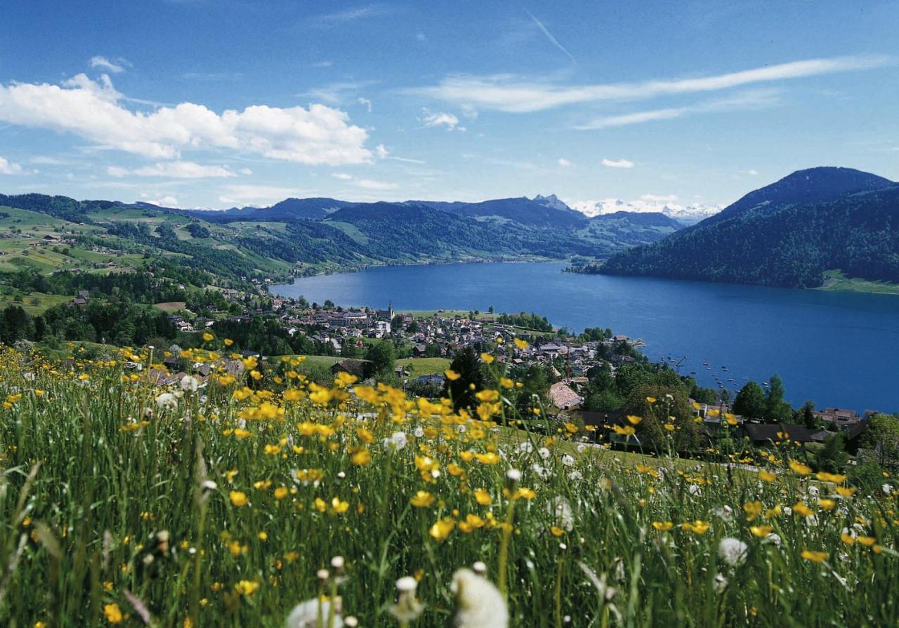 Seminarhotel Am Aegerisee Unterägeri Kültér fotó